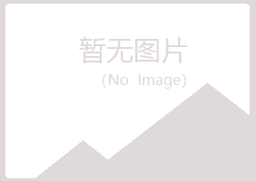 兴业县山柳化学有限公司